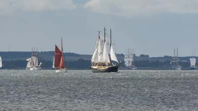 Seilskuter fra The Tall Ships Races ligger til kai i Aalborg havn