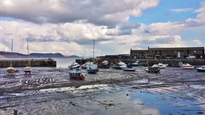 Lyme Regis Cobb harbour at low tide with Dorset coastline