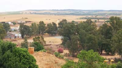 Alrededores de Niebla (Huelva) — landschap nabij Niebla, Huelva, Andalusië