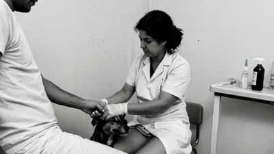 Ataque de Cão em Portugal: o Que Fazer Imediatamente e Quem Paga os Danos