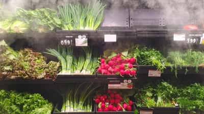 Épicerie IGA Atwater à Montréal avec clients et paniers
