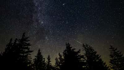 Lyrid Meteor Shower 2026: Turn the Night Sky Into Your Child's Best Science Lesson