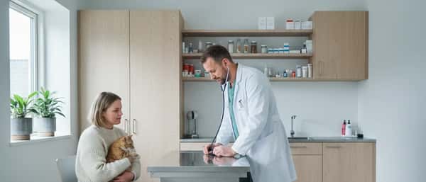 Kvinde med kat hos dyrlæge under konsultation i dansk klinik