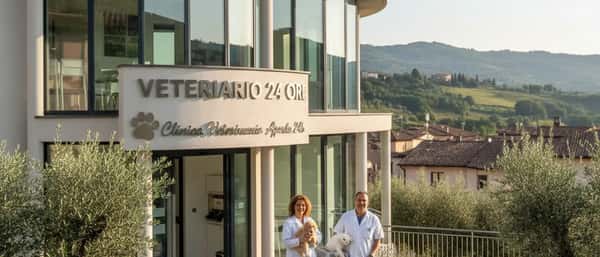 Veterinario italiano che esamina un golden retriever su un lettino in una clinica veterinaria notturna