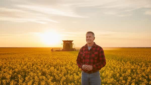 Agriculteur canadien francophone debout dans un champ de canola en Saskatchewan au lever du soleil, moissonneuse visible en arrière-plan