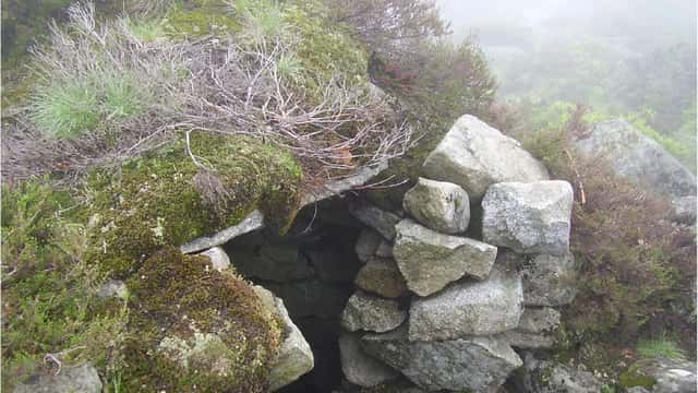 Orri traditionnel en pierres sèches dans les Pyrénées, symbole des bâtiments agricoles en zone montagne