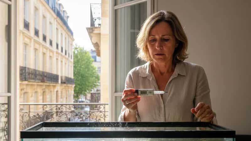 Aquarium de poissons rouges avec eau trouble et poissons remontant à la surface en manque d'oxygène lors d'une canicule à Bordeaux