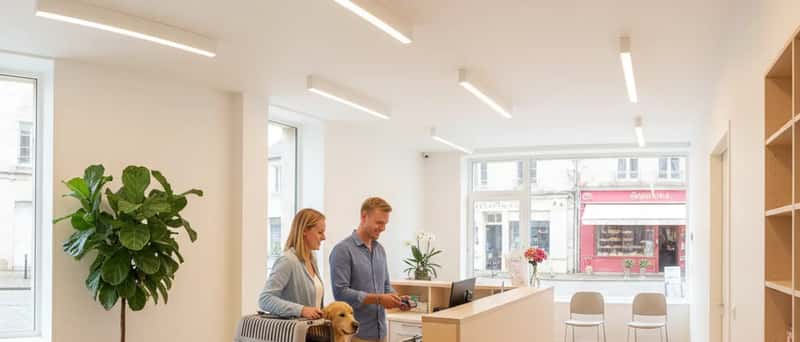 Par betaler dyrlægeregning ved receptionen i dansk dyreklinik