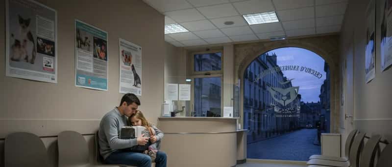 Père et fille dans la salle d'attente d'une clinique vétérinaire d'urgence avec un transporteur pour animal