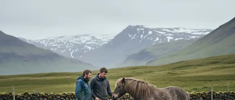 Íslenskur bóndi og dýralæknir skoða íslenskan hest í haga á landsbyggðinni