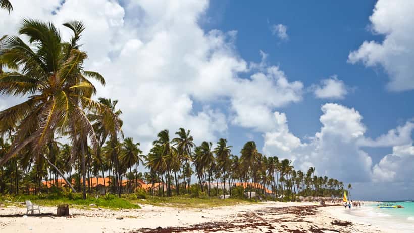 Plage de Punta Cana en République dominicaine avec palmiers et mer turquoise