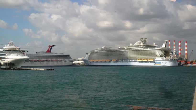 Large cruise ships docked at Port Everglades, representing the growing cruise industry and passenger consumer rights in Australia