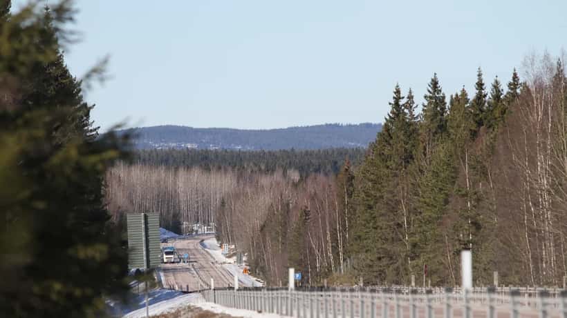 Svensk landsväg med tallar längs sidan i apriltid
