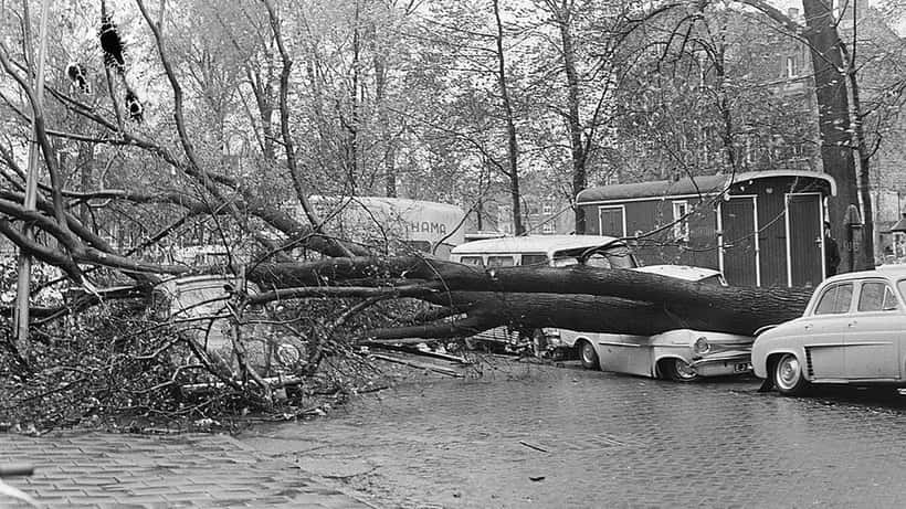 Omgevallen bomen beschadigen auto's op Waterlooplein in Amsterdam tijdens hevige storm