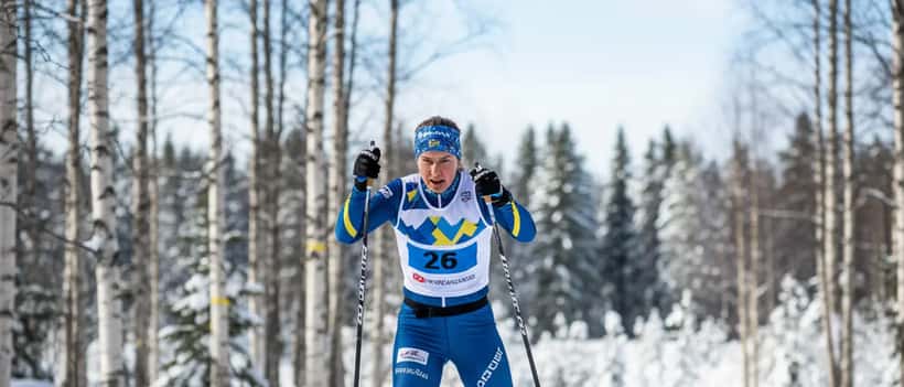 Svensk längdskidåkerska i racingdräkt glider genom snötäckt skog i Umeå under en solig vinterdag