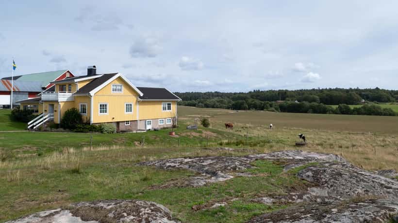 Svensk gård och landskap