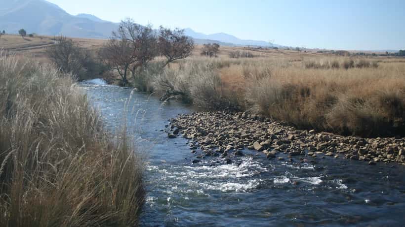Rio Crocodilo na região de Mpumalanga, África do Sul, margens de vegetação densa e água turva