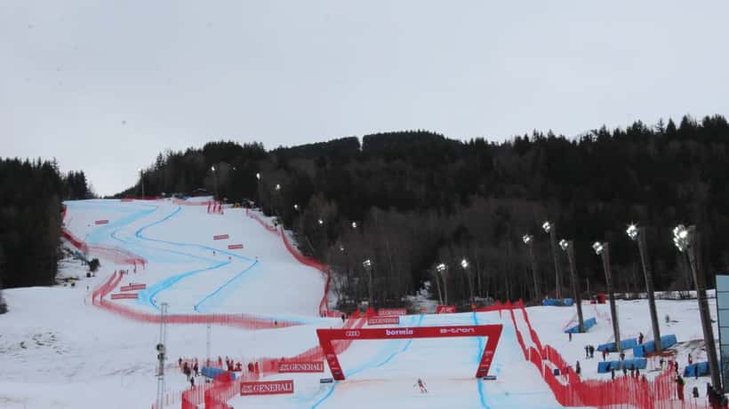 Daniel Danklmaier en pleine descente à Bormio lors d'une course de Coupe du monde de ski alpin