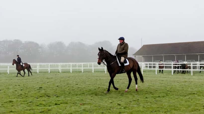 Thoroughbred racehorses at morning training gallops at a Hampshire racing stables
