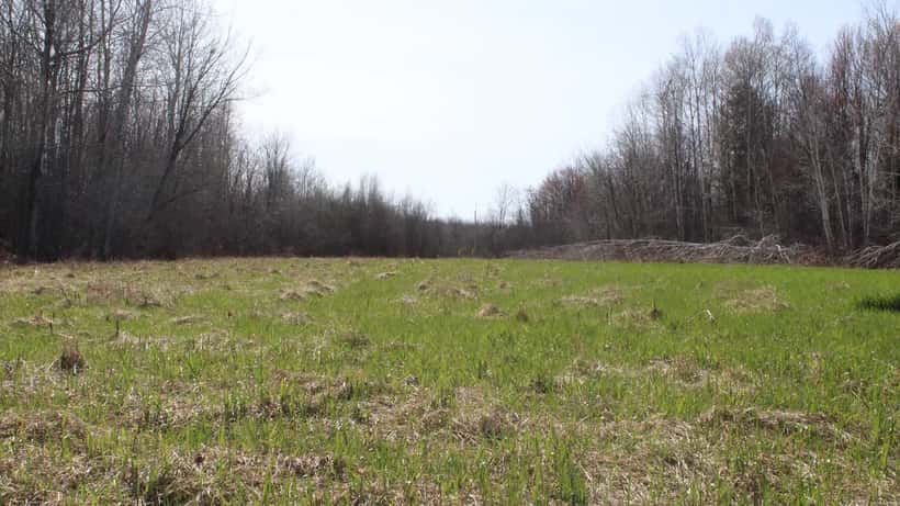 Gazoduc dans une prairie ontarienne, représentant l'infrastructure de gaz naturel au Canada