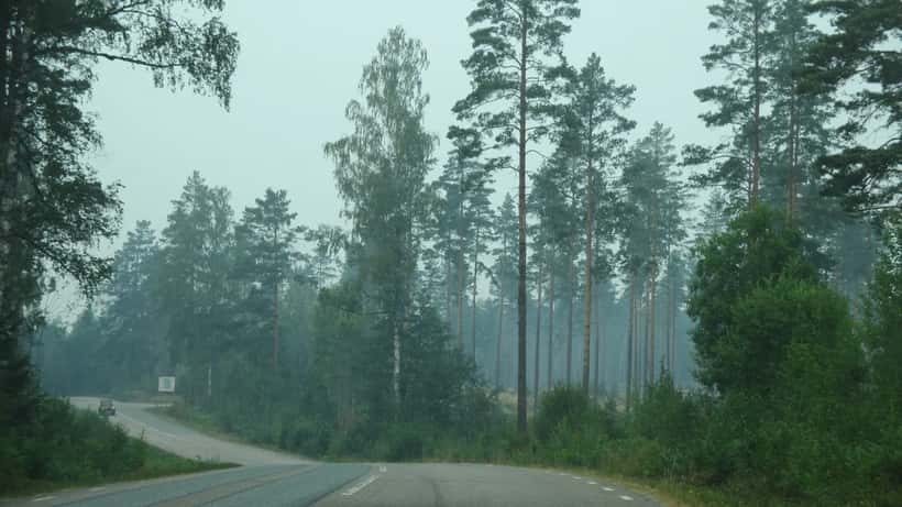 Rök stiger från skogen i Sverige under en skogsbrand – typisk bild från bränderna i Dalarna sommaren 2026