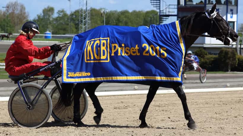 Travhästar på banan vid Jägersro i Sverige, harness racing