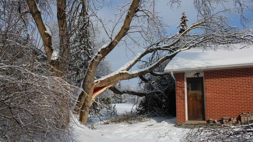 Arbre abattu par la tempête écrasant le toit d'une maison résidentielle en Ontario