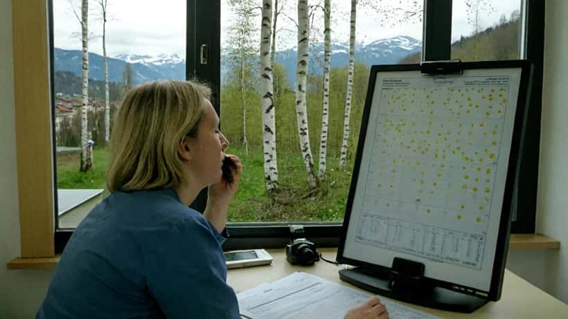 Allergologue examinant un patient dans une clinique suisse avec vue sur des arbres en fleurs à Berne