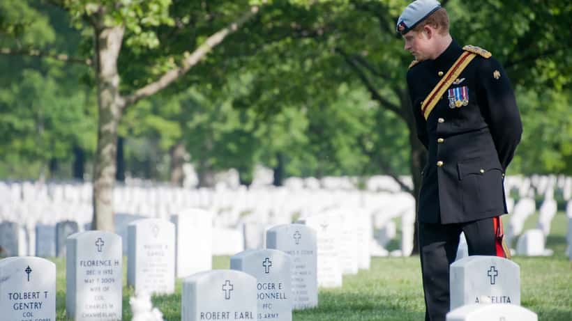 Prinssi Harry sotilasseremoniassa, selkeä muotokuva