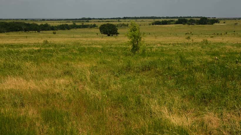 Ranch and pastureland in Limestone County, Texas — the setting of the new Dutton Ranch Yellowstone spinoff