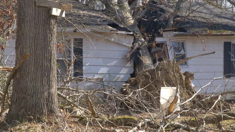 Casa danneggiata da un albero caduto durante una tempesta