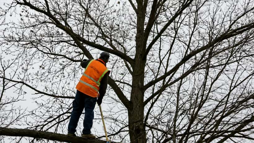 Entrepreneur inspectant une toiture après une tempête dans une banlieue de Windsor, Ontario