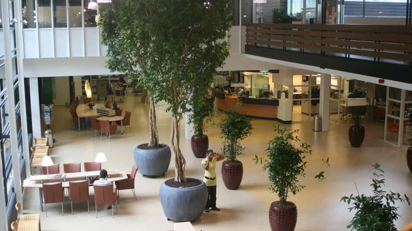 Ingang van het Radboudumc ziekenhuis in Nijmegen