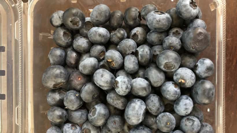 Open carton of fresh Chilean blueberries, similar to the recalled frozen GreenWise organic blueberries
