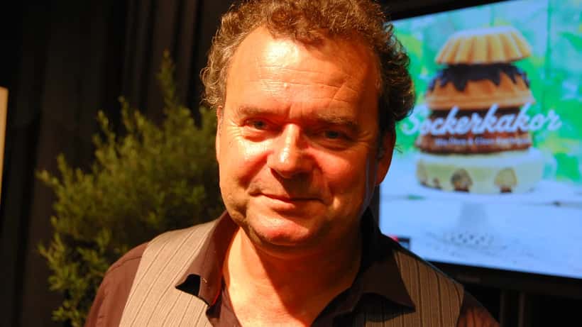 Steffo Törnquist, TV-profil och programledare för Nyhetsmorgon på TV4