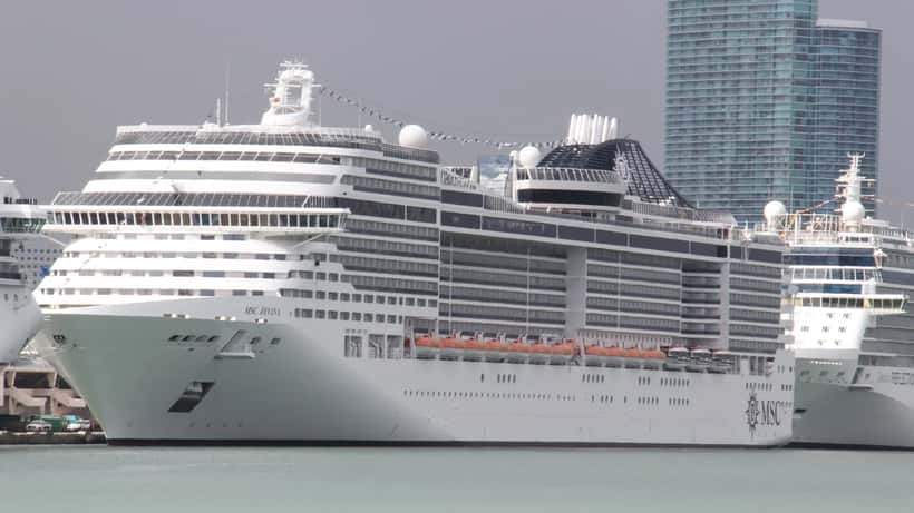 MSC Divina cruise ship docked at Port Miami, Florida — MSC cruise fleet at port