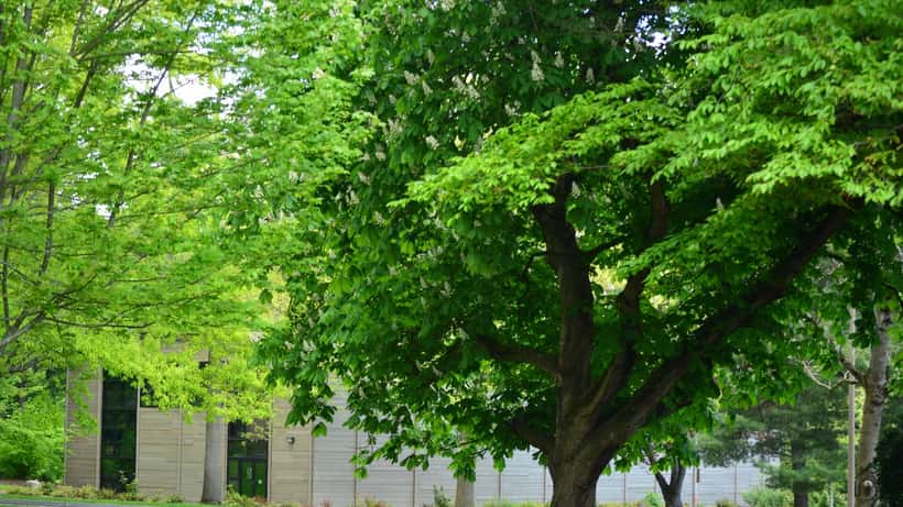 University of Washington campus building with modern wood-and-glass architecture, Seattle