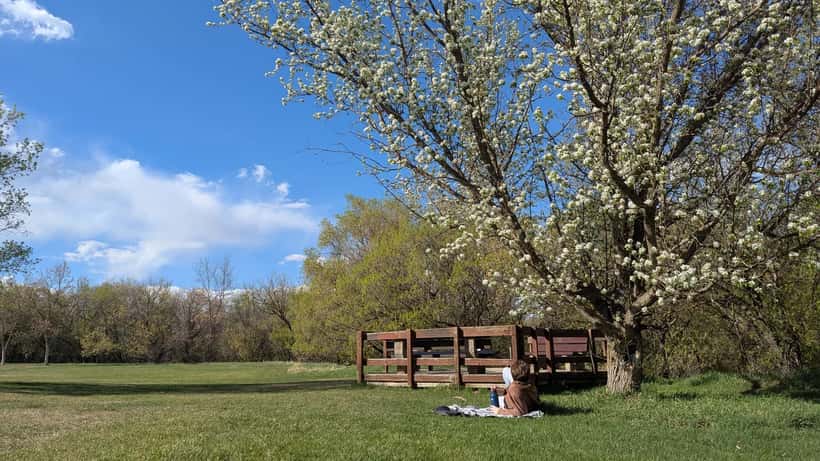 Ruisseau Milk Creek au printemps à Edmonton, Alberta, Canada