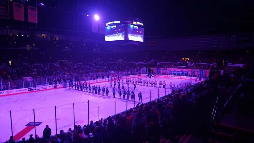 Toronto Marlies players in action during an AHL hockey game at an arena