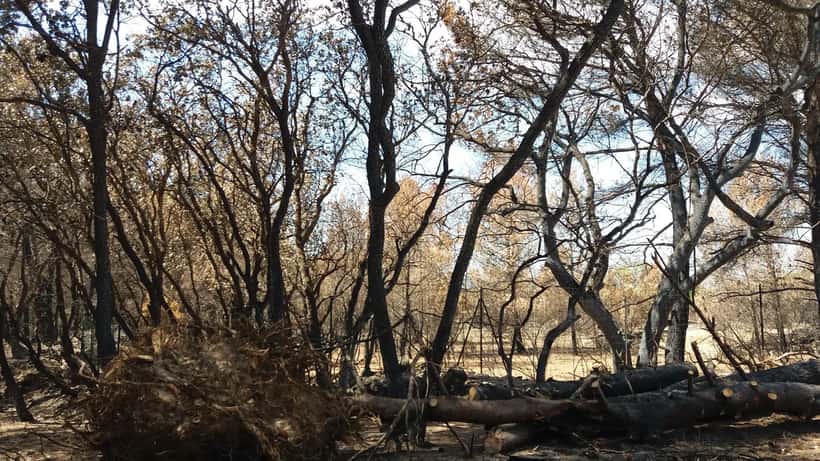 Bosbrand in de Provence, rookwolken boven droge heuvels in Zuid-Frankrijk — illustratief voor brandschade aan vakantiewoningen in de Var