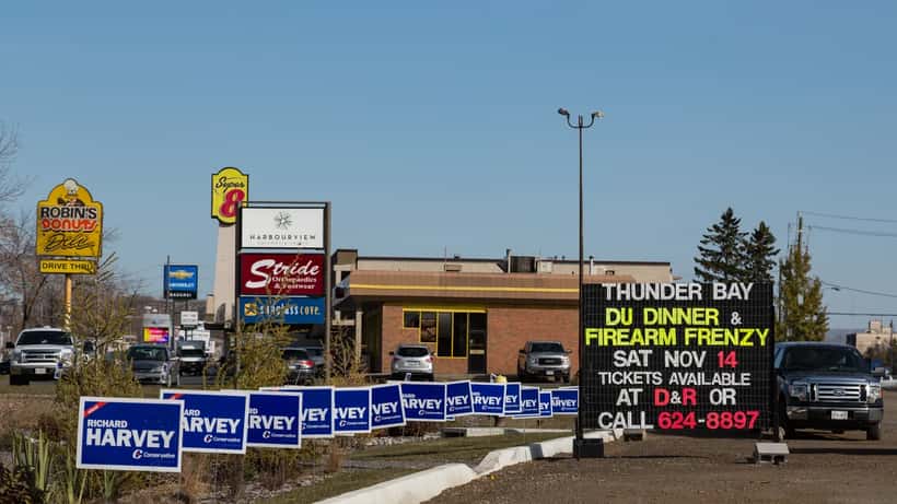 Political campaign signs along a street in Thunder Bay, Ontario, during the 2015 provincial election