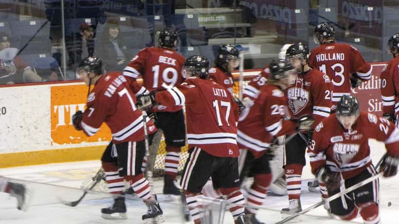 Match de hockey de la Ligue de hockey de l'Ontario