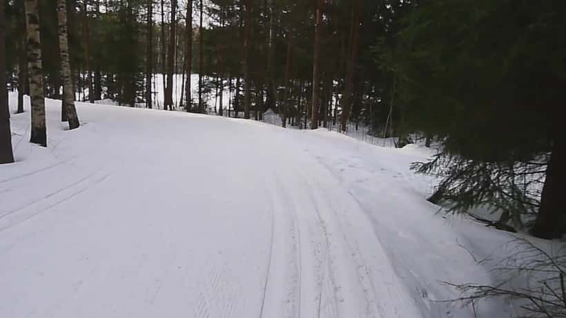 Maastohiihtäjä talvisessa suomalaisessa maisemassa