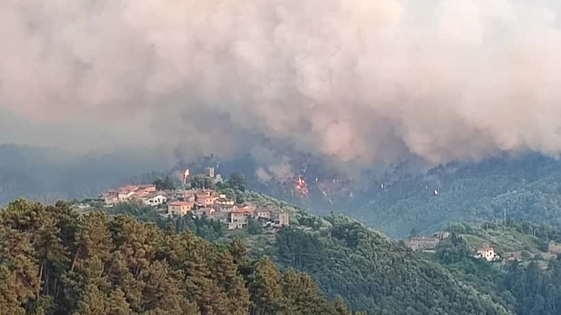 Incendio boschivo con fiamme che bruciano la vegetazione in una zona forestale