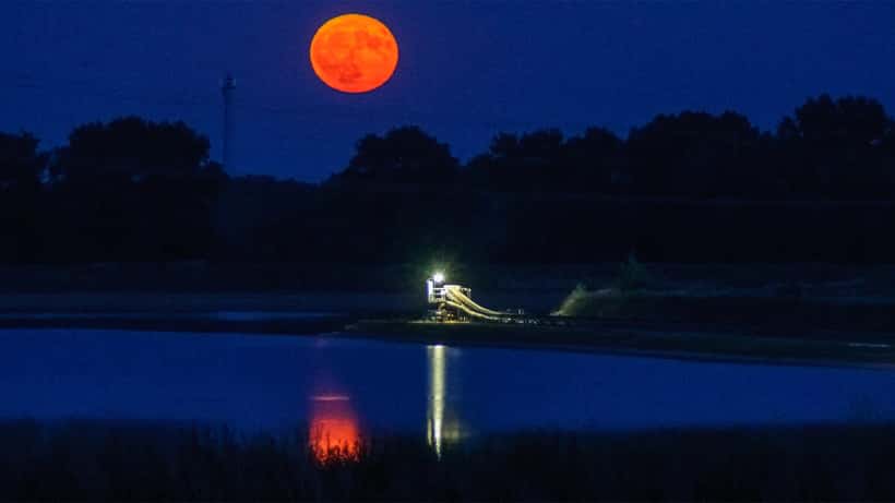 Erdbeermond 2025 — warmer orangeroter Vollmond nahe dem Horizont in der Sommernacht