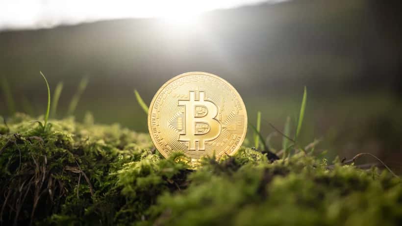 Bitcoin och kryptovaluta symboliserar Cronos CRO token-burn och finansiell investering