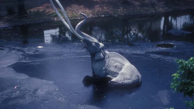 La Brea Tar Pits landmark in Los Angeles, California