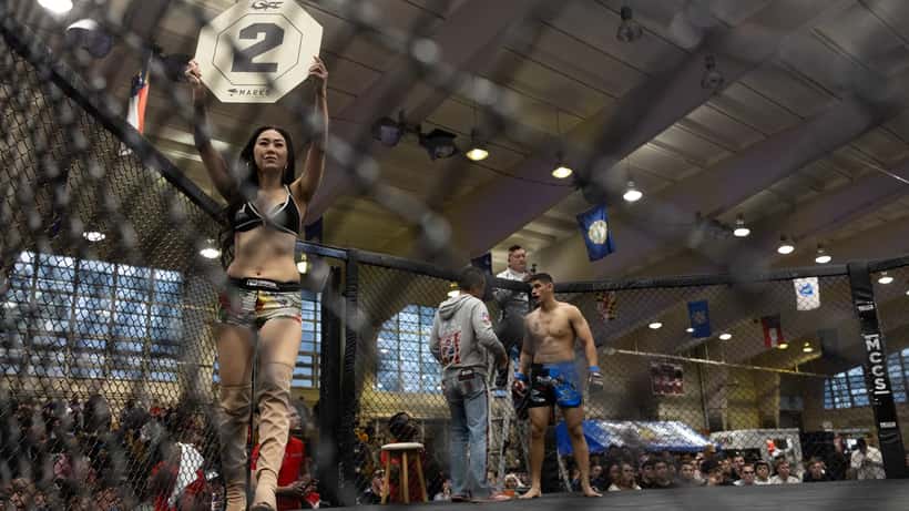 MMA fighters competing during a fight night event