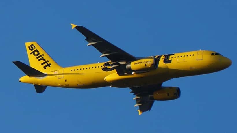 Avion Spirit Airlines (vol NK981) sur le tarmac, compagnie désormais en liquidation