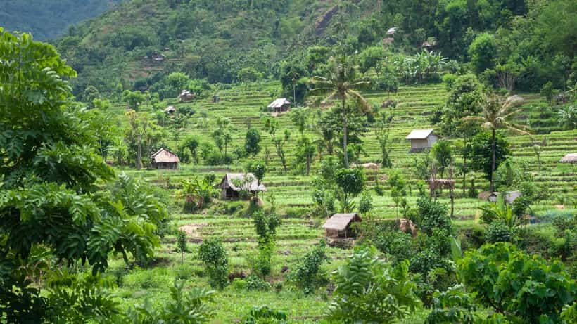 Bali rice terraces and forest landscape in East Bali, Indonesia — popular destination for Australian tourists